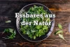 Beitragsbild-essbares-aus-der-Natur