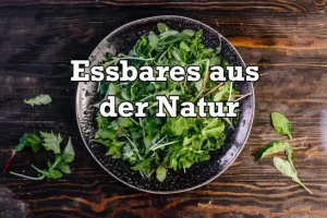 Was ist in der Natur alles essbar