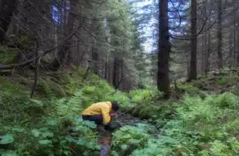 Mann in Survival Situation trinkt Wasser ohne Filter aus Bach