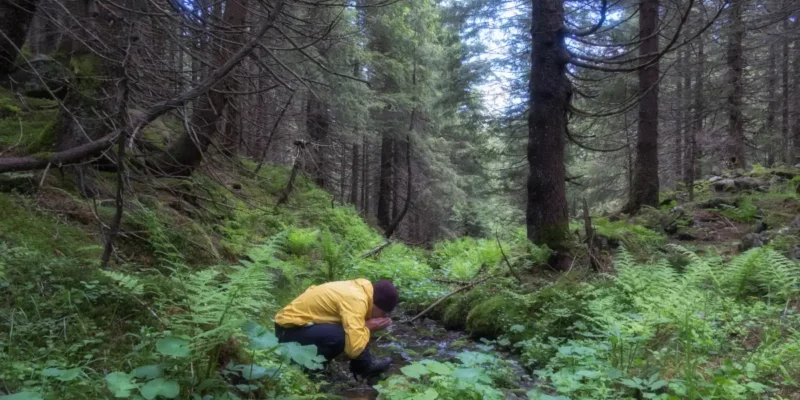 Survival Wasser Filtern – die 7 besten Modelle für deine Outdoor-Abenteuer