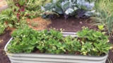 Selbstversorgung in Krisenzeiten: Erst der Vorrat, dann der Garten